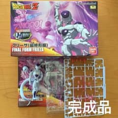 m54190244937_1.jpg?1716708787