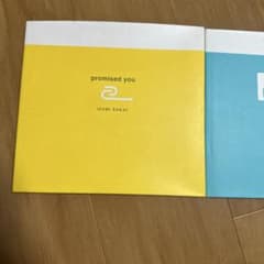 IZUMI SAKAI promised you マイフレンド 2冊セットのサムネイル