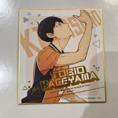 ハイキュー！！ 影山飛雄 ビジュアル色紙コレクションのサムネイル
