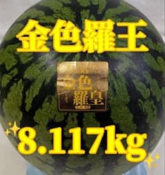673匿名発送！千葉県産　金色羅皇スイカ　高糖度　8.117kg１玉のサムネイル