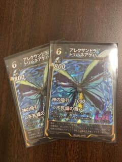 アレクサンドラトリバネアゲハ　2枚セットのサムネイル