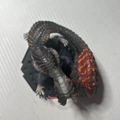 モンスターハンターフィギュアのサムネイル