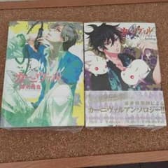 カーニヴァル【RIDREY様専用】のサムネイル