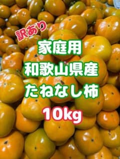 【家庭用】たねなし柿　10kgのサムネイル