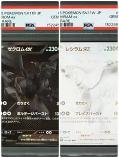 PSA10】ゼクロム ex BWR レシラム ex BWR 連番 - メルカリ