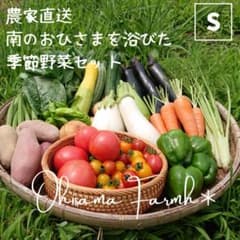 翌日配達エリア限定   農薬不使用 Sサイズ 野菜セット　野菜の詰め合わせのサムネイル