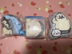 Chiikawa Mermaid Island's Secret Shimajiro Capsule Toys (Bundle)