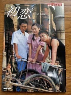 韓国ドラマガイド　初恋 First Loveのサムネイル
