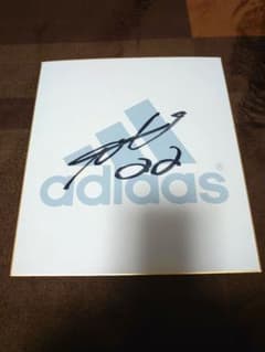 m54252933298_1.jpg?1710506801