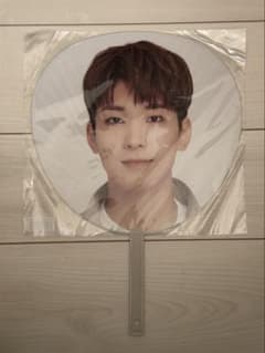 SEVENTEEN WONWOO うちわ Ode to You - メルカリ