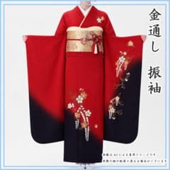 607z36〇金通し 振袖 桜 藤 シンプル 赤 黒〇美品 成人式 結婚式