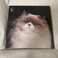 カネコアヤノ 燦々 LP レコード 重量盤 未開封のサムネイル
