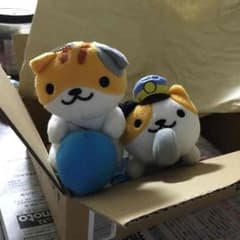 ねこあつめ ぬいぐるみ2点のサムネイル