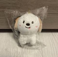 RIIZE アントン モンリョンイ ぬいぐるみ 10cm キーリング 新品未開封】 RIIZE アントン モンリョンイ ぬいぐるみキーホルダー