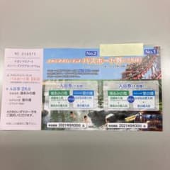 ナガシマスパーランド パスポート 券のサムネイル