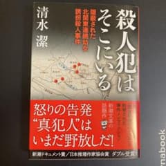 殺人犯はそこにいる 隠蔽された北関東連続幼女誘拐殺人事件のサムネイル