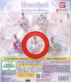 ジュエルペット　めじるしアクセサリー　ルビーのサムネイル