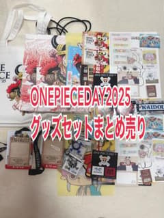 ONEPIECEDAY 원피스 데이 2025 상품 정리 판매