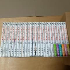 七つ屋志のぶの宝石匣 1巻から26巻 二ノ宮知子 初版 - メルカリ