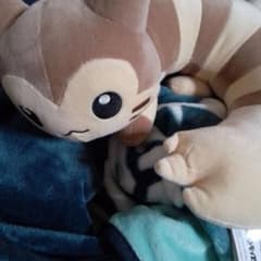 オオタチ ポケモン ポケットモンスター もふぐっと しっぽみてみて