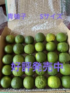 青柚子　Sサイズ30個(約１キロ)のサムネイル