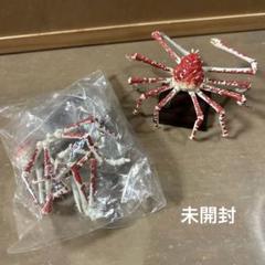 NATURE TECHNI COLOUR 海遊館ミュージアム・ タカアシガニ ネイチャーテクニカラー タカアシガニ フィギュア 海遊館