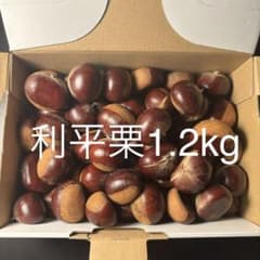 【秋の味覚】栃木県産 生栗 利平1．２kg -2L以上ミックスのサムネイル
