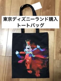 『新品未使用品』東京ディズニーランドにて購入　トートバッグのサムネイル