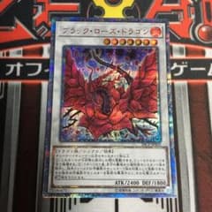 ブラック・ローズ・ドラゴンのサムネイル