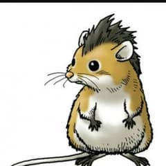 あさん専用のサムネイル