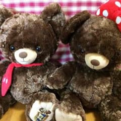 ユニベア（モカ・プリン） ！早い者勝ち！のサムネイル