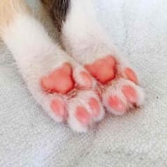 REINAさん専用のサムネイル