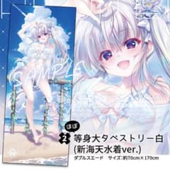 C106 翡翠亭 和泉つばす 9-nine- 新海 天 等身大タペストリー - メルカリ