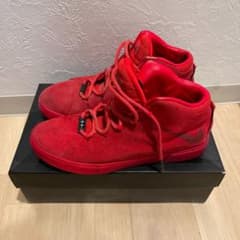 LeBron XII NSW lifestyle qsのサムネイル