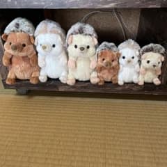 フラッフィーズ はりねずみ ぬいぐるみ 6点セットのサムネイル