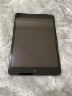 iPad miniのサムネイル