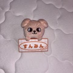 StrayKids SKZOO PuppyM バッグチャーム 【最終値下げ】のサムネイル