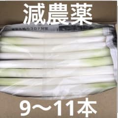 不揃いカットネギ　　　　　おいし〜いよ！ 　　A4サイズのサムネイル