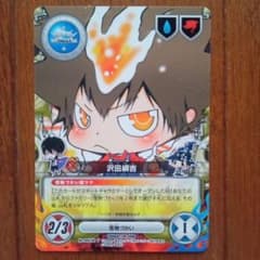 d*9様 【家庭教師ヒットマンREBORN！】沢田綱吉【CCG】 家庭教師ヒットマンREBORN! CCGカードゲーム 沢田綱吉 P - メルカリ