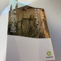 アヒルと鴨のコインロッカー 伊坂幸太郎のサムネイル