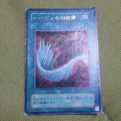 ハーピィの羽根箒のサムネイル