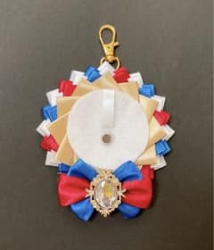 ロゼット 痛ロゼット 赤 青 白のサムネイル
