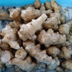 新鮮 菊芋 詰め合わせ 自然栽培1.2キログラム熊本県産のサムネイル