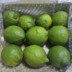 檸檬✨グリーンレモンA品箱込み約:1.2kg 柑橘ベルガモット「葉っぱ」おまけ付のサムネイル