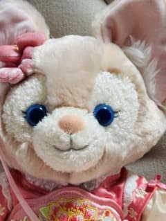 リーナベルぬいぐるみSサイズ‼️新品タグ付き✨写真の子 - メルカリ