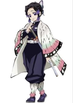 鬼滅の刃 胡蝶しのぶ　キャラクター衣装　大人用のサムネイル