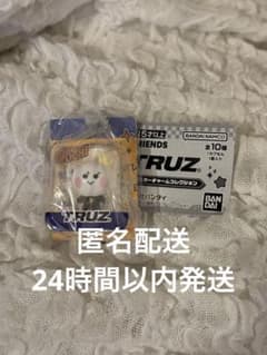 TRUZブリスタチャームコレクション YOCHI