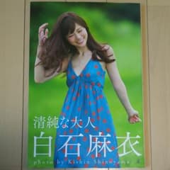 LLL  様  専用  白石麻衣   写真集のサムネイル