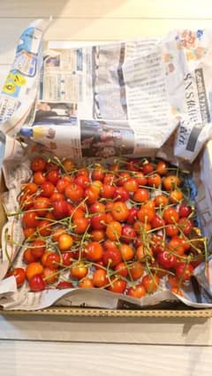 値下げ♢残り6時間限り☆訳あり！！さくらんぼ 600g 箱入り 残り2