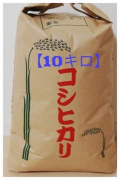 【季節限定品】精米10kg【コシヒカリ】 格安訳あり8年産新米のサムネイル